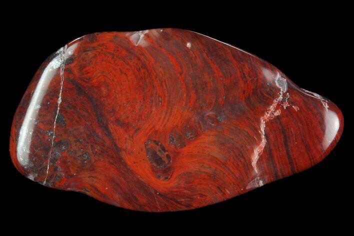 Polished Stromatolite (Collenia) - Minnesota #126100